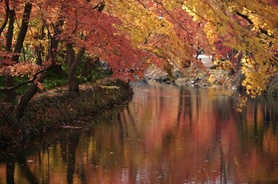 가을 선운사