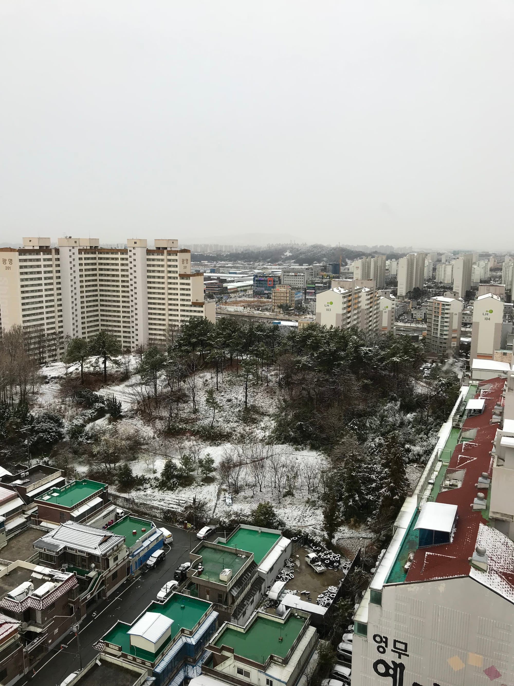 동네 겨울 ..